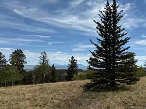 350 Kaufman Rd, Hartsel, CO 80449 photo 11