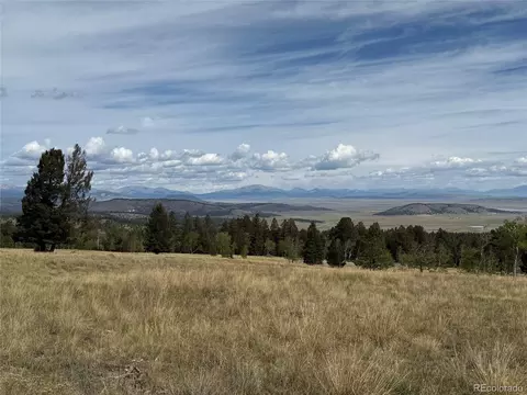 350 Kaufman Rd, Hartsel, CO 80449 photo 16