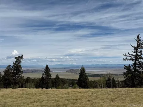 350 Kaufman Rd, Hartsel, CO 80449 photo 19