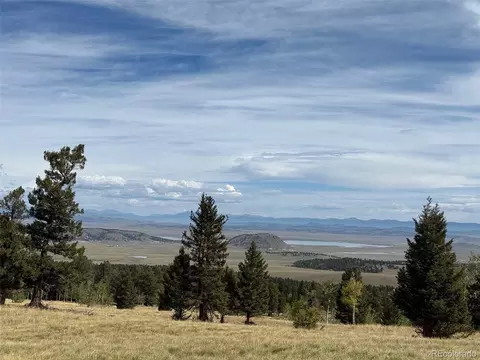 350 Kaufman Rd, Hartsel, CO 80449
