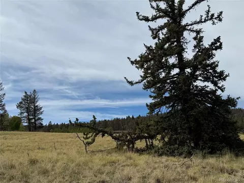 350 Kaufman Rd, Hartsel, CO 80449 photo 24