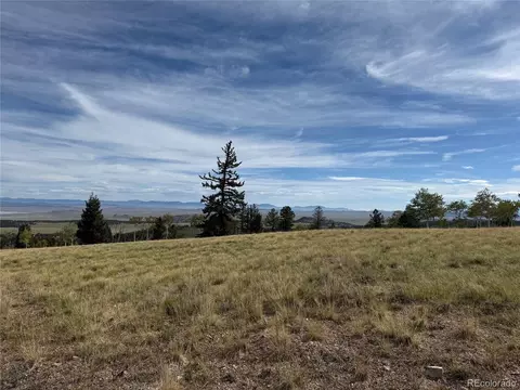 350 Kaufman Rd, Hartsel, CO 80449 photo 4
