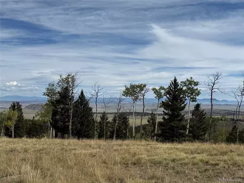 350 Kaufman Rd, Hartsel, CO 80449 photo 13