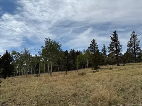 350 Kaufman Rd, Hartsel, CO 80449 photo 23