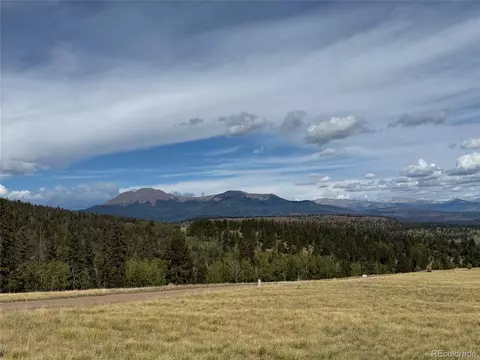 350 Kaufman Rd, Hartsel, CO 80449 photo 29