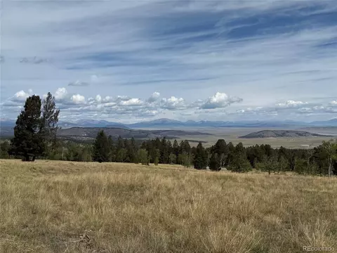 350 Kaufman Rd, Hartsel, CO 80449 photo 12