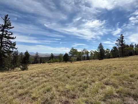 350 Kaufman Rd, Hartsel, CO 80449 photo 6
