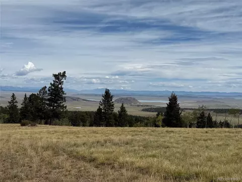350 Kaufman Rd, Hartsel, CO 80449 photo 20