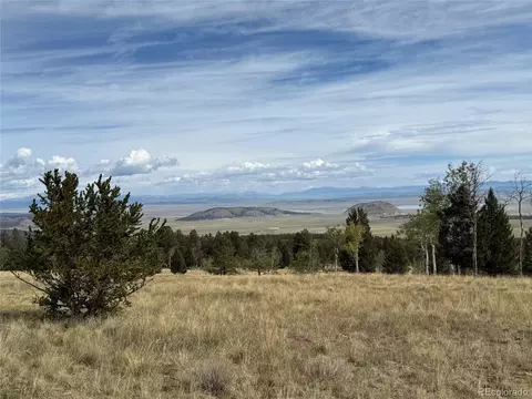 350 Kaufman Rd, Hartsel, CO 80449 photo 9