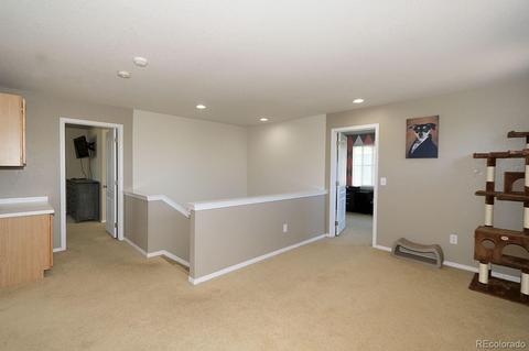 12159 Village Cir E, Brighton, CO 80603 photo 12
