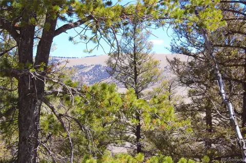 2882 Middle Fork Vis, Fairplay, CO 80440