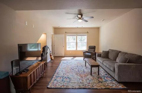 Living - 45 Valley Cir, Divide, CO 80814 photo 2 of 2