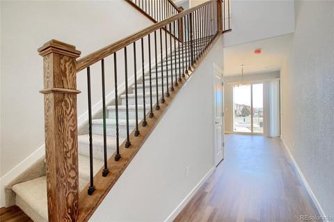 4157 E 98th Pl, Thornton, CO 80229 photo 14