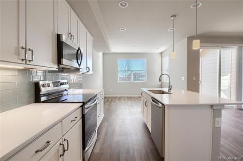 4157 E 98th Pl, Thornton, CO 80229 photo 8