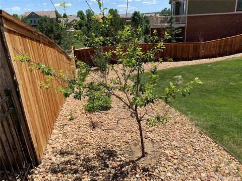 21056 E Dukes Pl, Aurora, CO 80013 photo 13