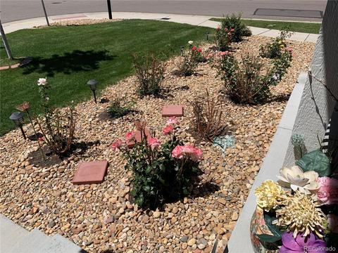 21056 E Dukes Pl, Aurora, CO 80013 photo 19