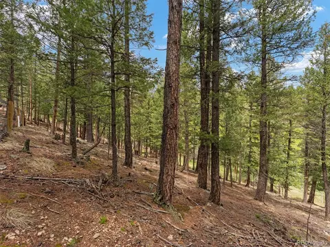 714 N Pine Dr, Bailey, CO 80421 photo 14