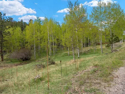 714 N Pine Dr, Bailey, CO 80421 photo 11