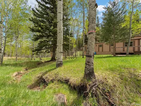 714 N Pine Dr, Bailey, CO 80421 photo 4