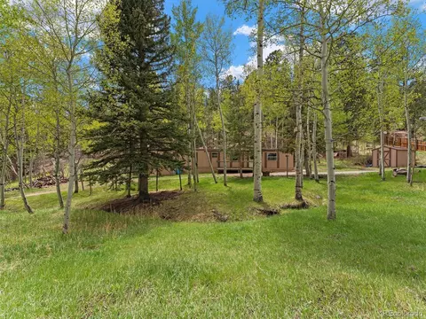 714 N Pine Dr, Bailey, CO 80421 photo 8
