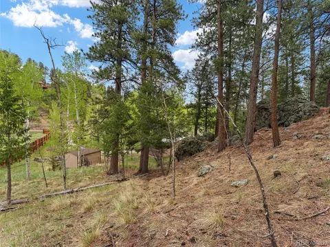 714 N Pine Dr, Bailey, CO 80421 photo 9