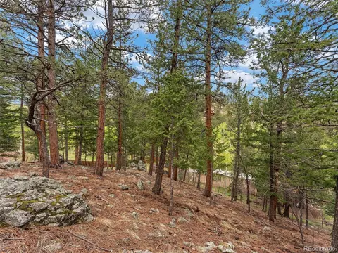 714 N Pine Dr, Bailey, CO 80421 photo 13