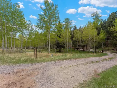 714 N Pine Dr, Bailey, CO 80421 photo 10