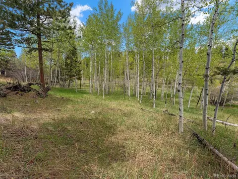 714 N Pine Dr, Bailey, CO 80421 photo 6