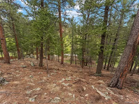 714 N Pine Dr, Bailey, CO 80421 photo 12