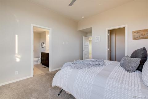 7918 E 54th Pl, Denver, CO 80238 photo 18