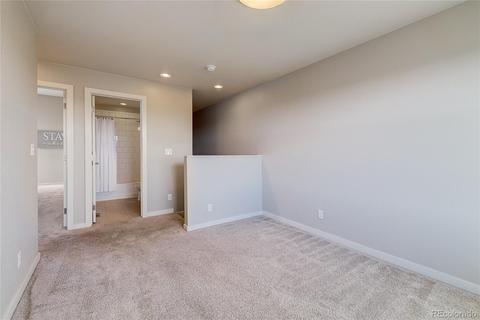 7918 E 54th Pl, Denver, CO 80238 photo 20