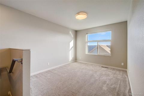 7918 E 54th Pl, Denver, CO 80238 photo 11