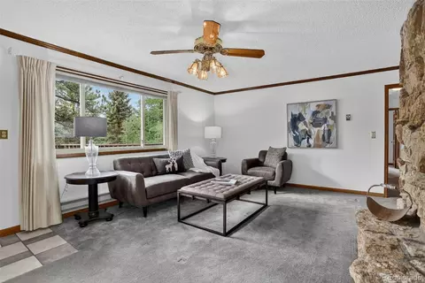 Living - 225 Spring Dr, Pine, CO 80470 photo 3 of 9