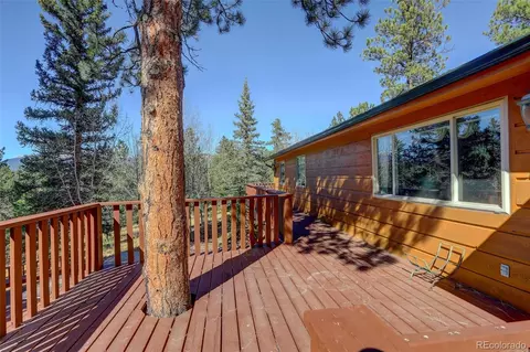 Exterior - 225 Spring Dr, Pine, CO 80470 photo 9 of 9