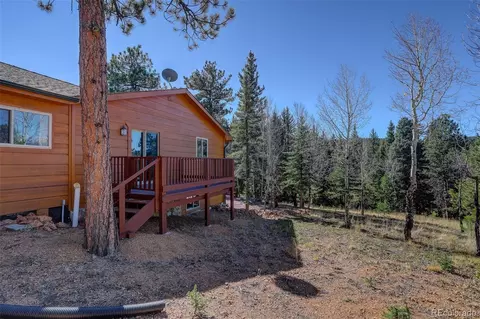 Exterior - 225 Spring Dr, Pine, CO 80470 photo 7 of 9