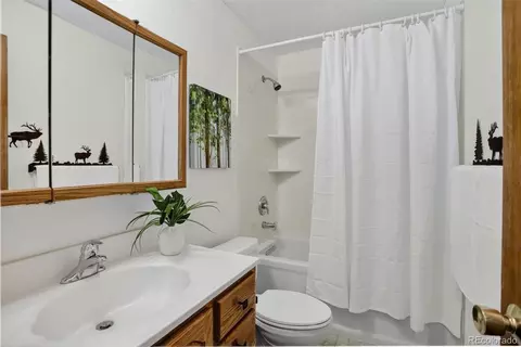Bath - 225 Spring Dr, Pine, CO 80470 photo 1 of 1