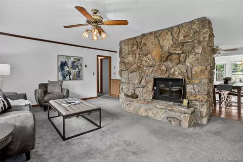Living - 225 Spring Dr, Pine, CO 80470 photo 4 of 9