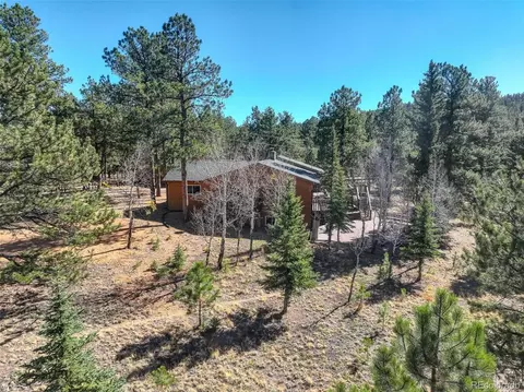 Other - 225 Spring Dr, Pine, CO 80470 photo 3 of 4