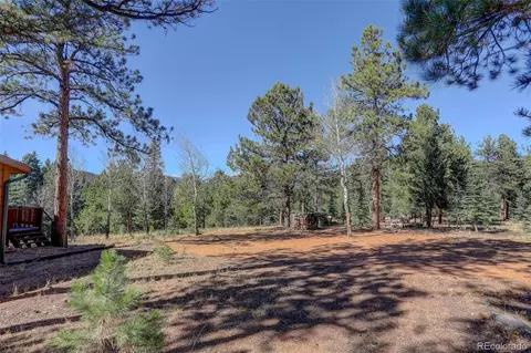 Exterior - 225 Spring Dr, Pine, CO 80470 photo 5 of 9