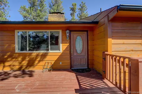 Exterior - 225 Spring Dr, Pine, CO 80470 photo 4 of 9