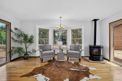 Living - 225 Spring Dr, Pine, CO 80470 photo 2 of 9