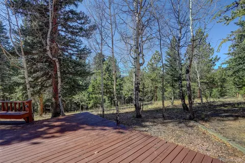 Exterior - 225 Spring Dr, Pine, CO 80470 photo 8 of 9