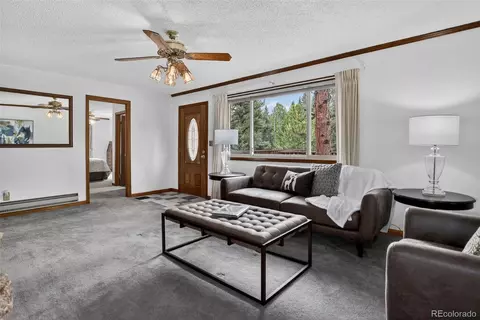 Living - 225 Spring Dr, Pine, CO 80470 photo 1 of 9