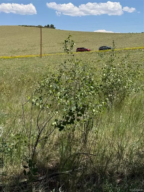 728 Stacker Dr, Hartsel, CO 80449 photo 9