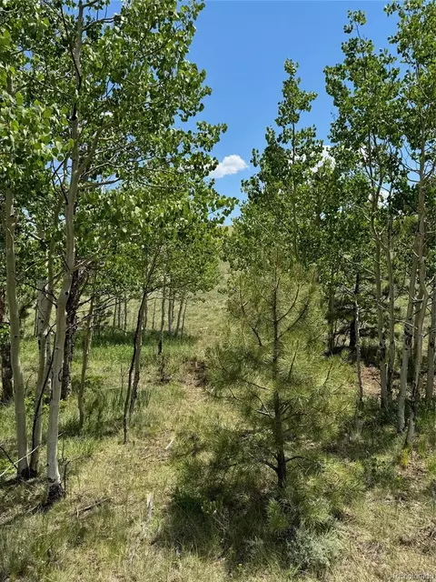 728 Stacker Dr, Hartsel, CO 80449 photo 10