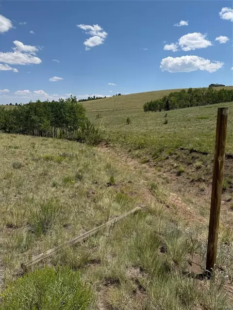 728 Stacker Dr, Hartsel, CO 80449 photo 21