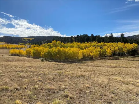 728 Stacker Dr, Hartsel, CO 80449 photo 19