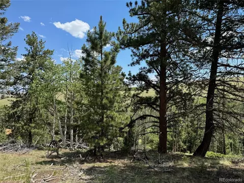728 Stacker Dr, Hartsel, CO 80449 photo 15
