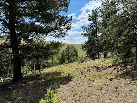 728 Stacker Dr, Hartsel, CO 80449 photo 11