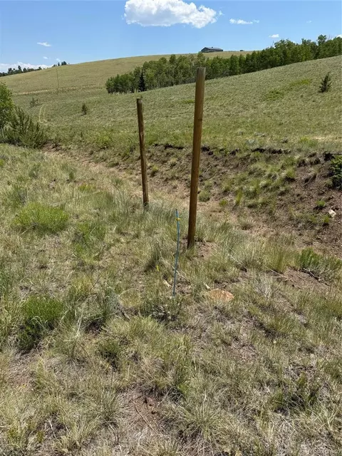 728 Stacker Dr, Hartsel, CO 80449 photo 22